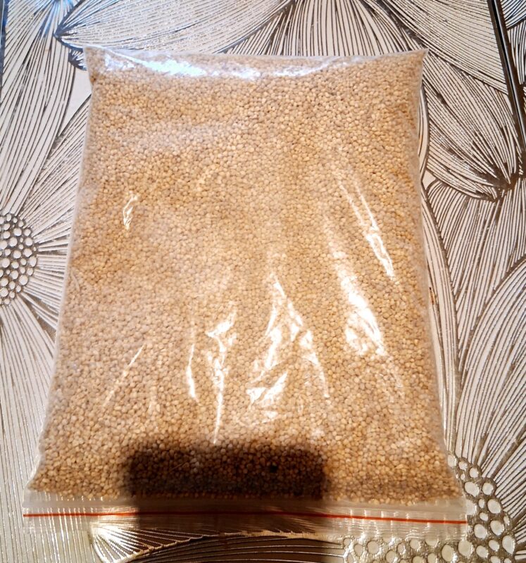 الأبرة السودانية